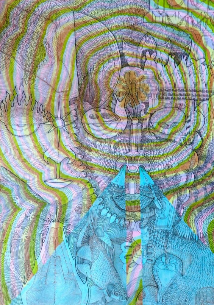 遮那見図