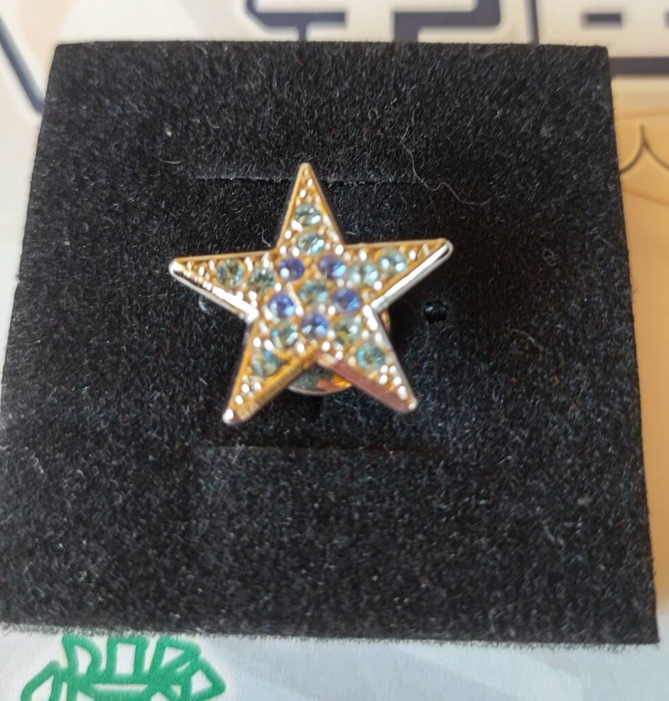 宇宙人コンテストピンバッジ